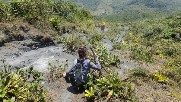sumi bear hiking volcan concepcion-3