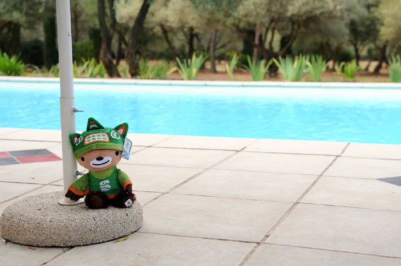 Hanging out by the pool