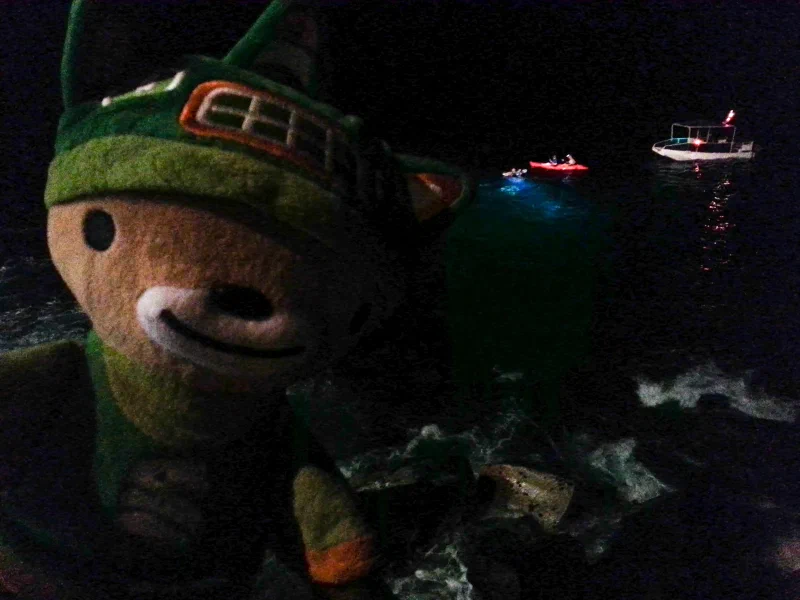 hawaii-bear-mantas-1