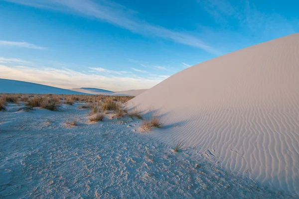 sumi bear white sands national monument-12