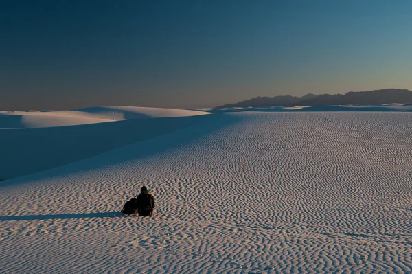 sumi bear white sands national monument-5