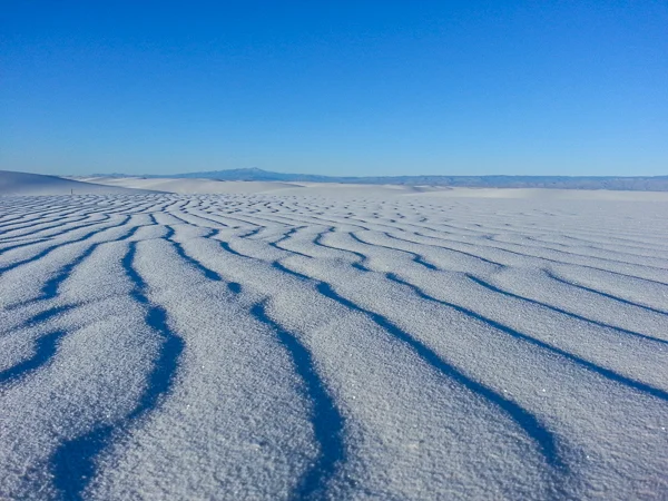 sumi bear white sands national monument-7