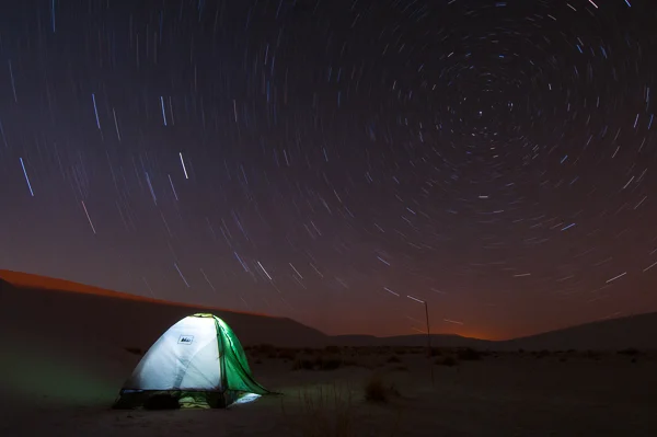 sumi bear white sands national monument-9