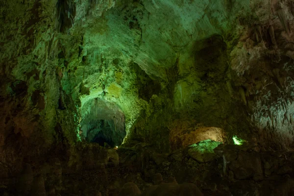 sumi carlsbad caverns-9