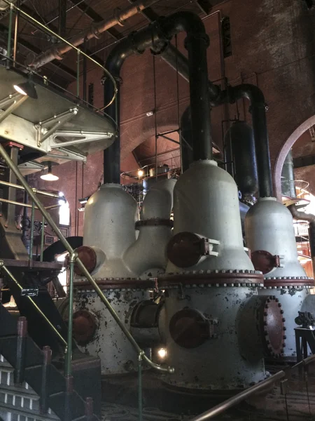 sumi bear waterworks boston-2