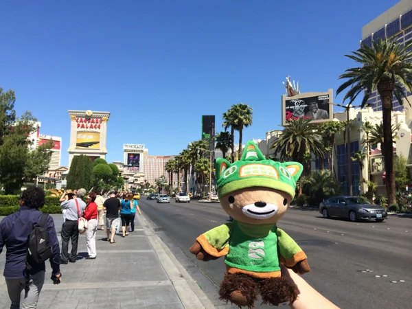 Sumi Bear in Vegas-2