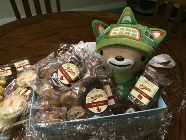 sumi bear christmas cookies-2