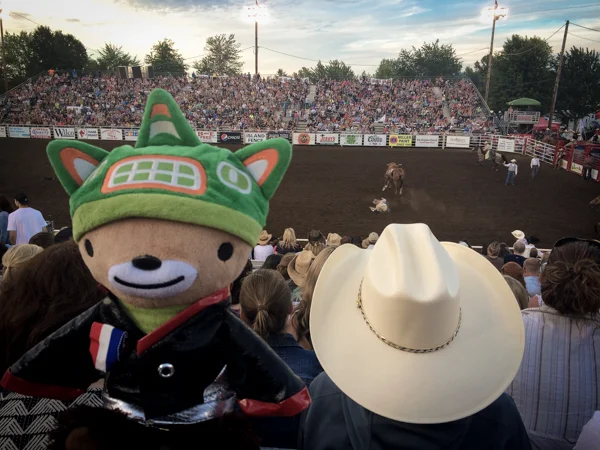 sumicowboyrodeo (4 of 4)