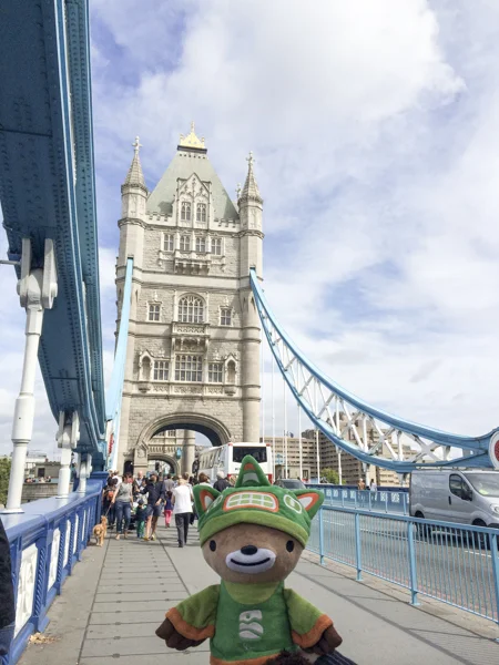 sumi bear tower bridge-1