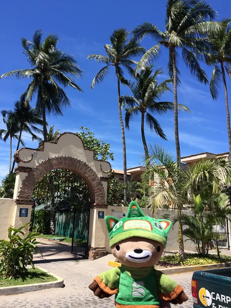 puerto vallarta sumi-2