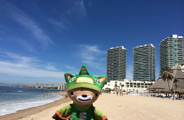 puerto vallarta sumi-3