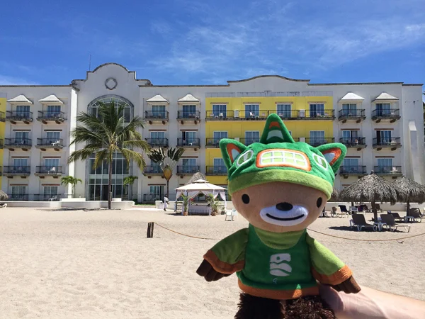 puerto vallarta sumi-4