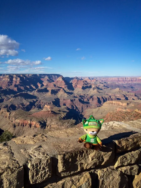 Sumi Bear at Grand Canyon-2