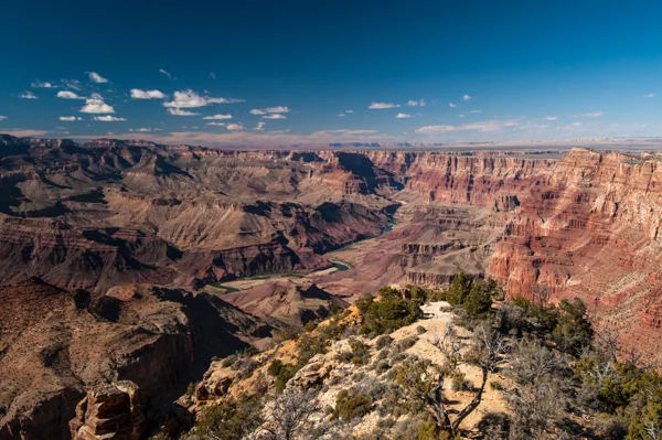Sumi Bear at Grand Canyon-4