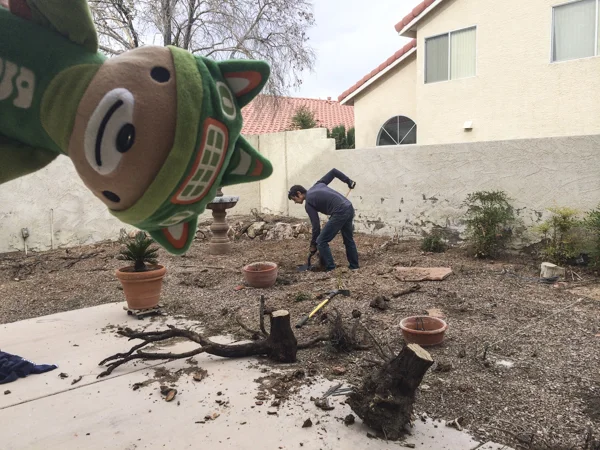 sumi bear operation backyard-2