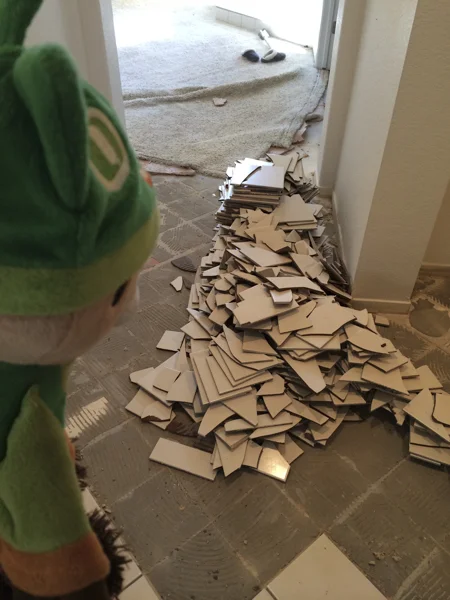 sumi bear tile stripping-2