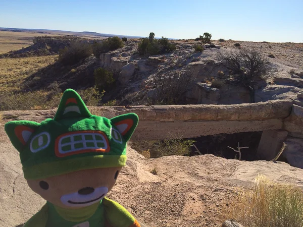 sumi petrified national forest agate bridge-4