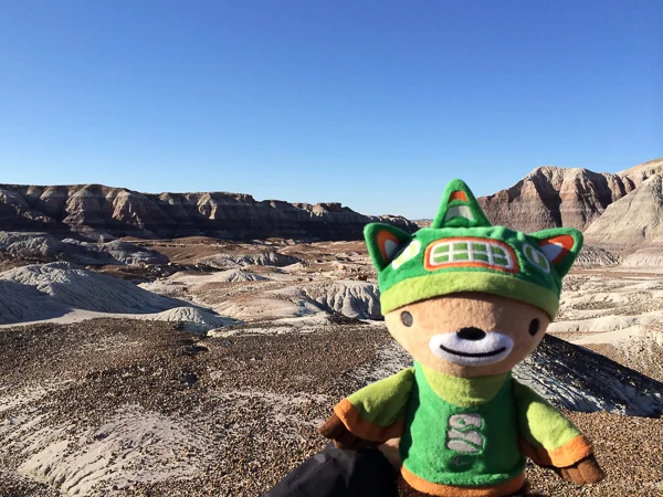 sumi petrified national forest blue mesa-2