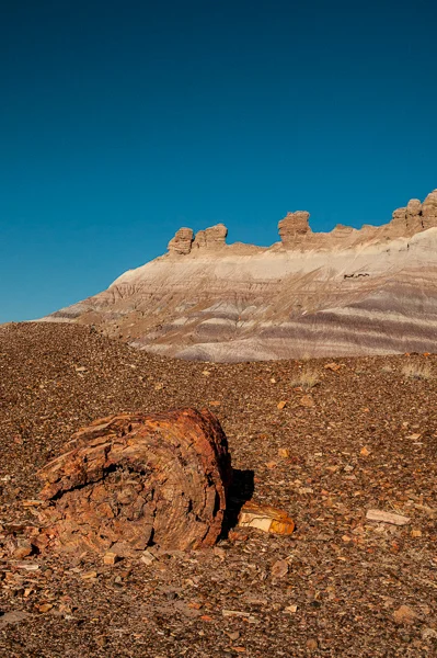 sumi petrified national forest blue mesa-3