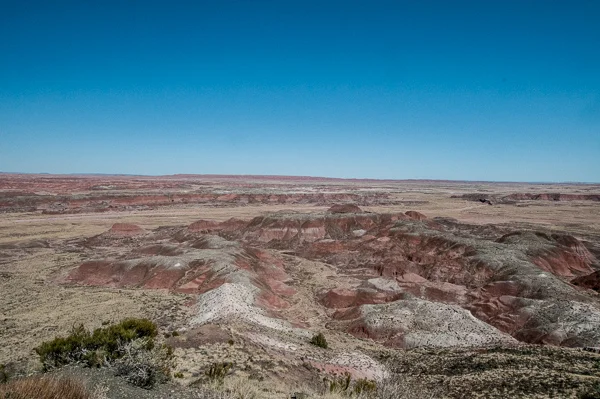 sumi painted desert-3