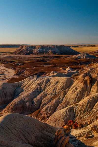 sumi petrified national forest-3