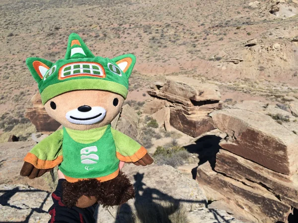 sumi petrified national forest newspaper rock-2