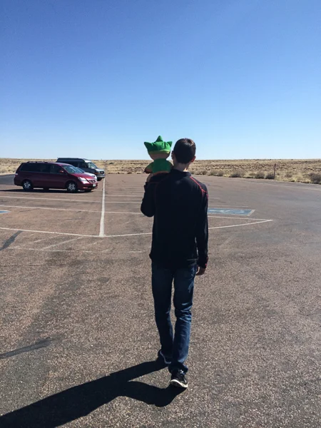 sumi petrified national forest newspaper rock-4