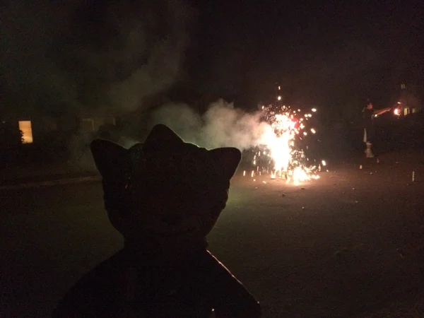 sumfourthfireworks-4