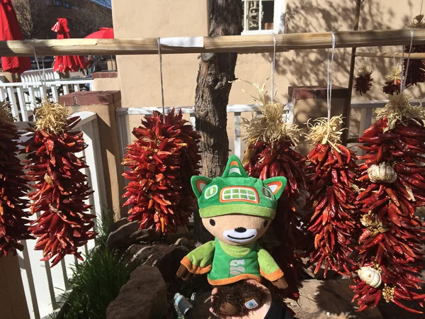 sumi bear santa fe-2