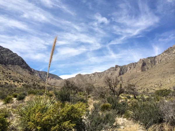 sumi guadalupe national park-2