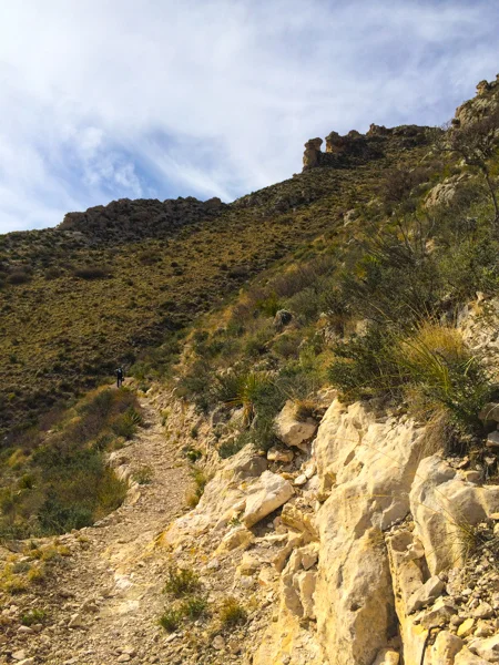 sumi guadalupe national park-3