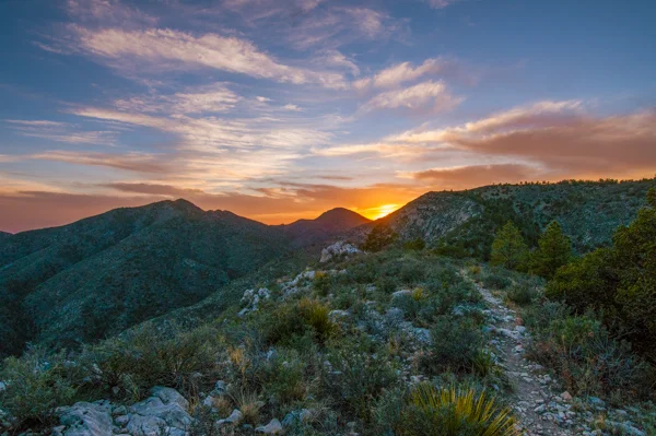 sumi guadalupe national park-6