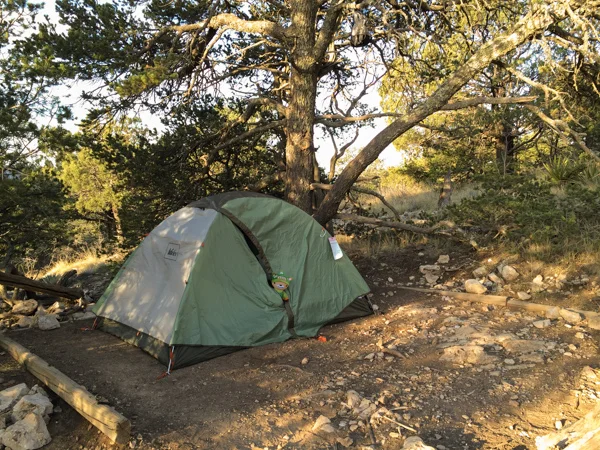 sumi guadalupe national park-8