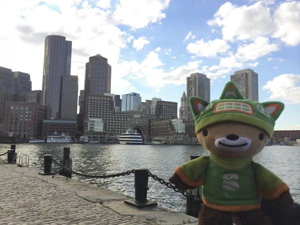 sumi bear boston harbour-1