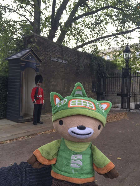 sumi bear queens guards-4