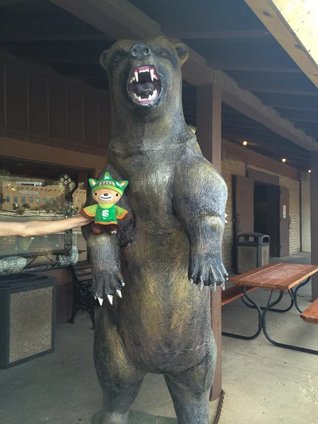 sumi whites city camping-2