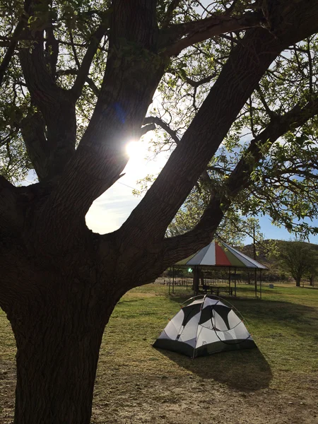 sumi whites city camping-4