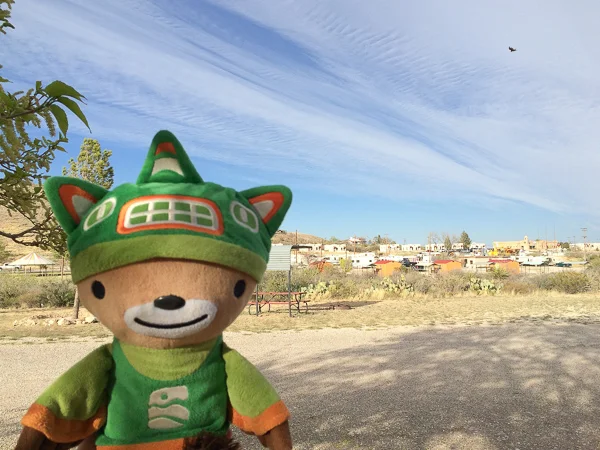 sumi whites city camping-5