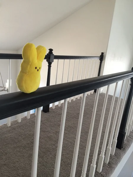 sumi bear gets a flight stick-1