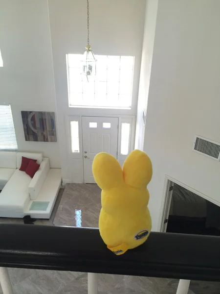 sumi bear gets a flight stick-2