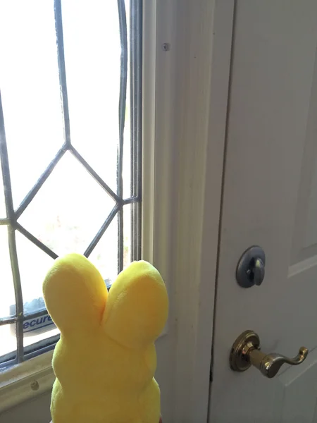 sumi bear gets a flight stick-4