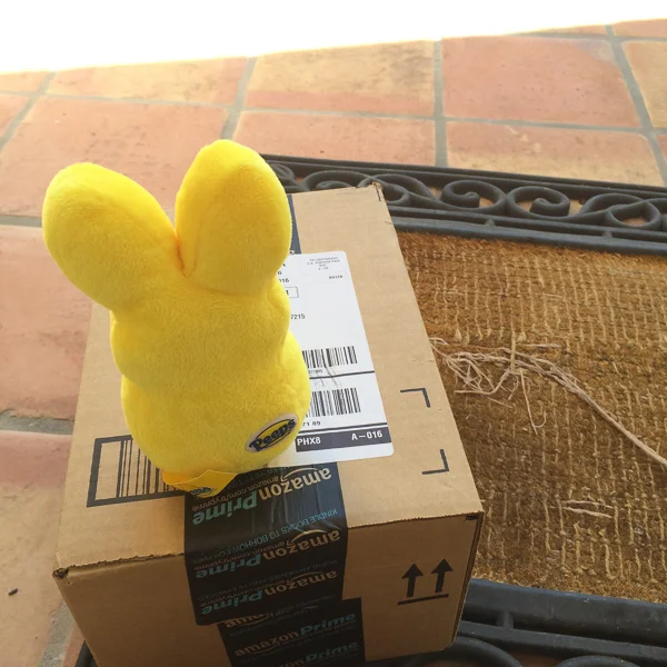 sumi bear gets a flight stick-5