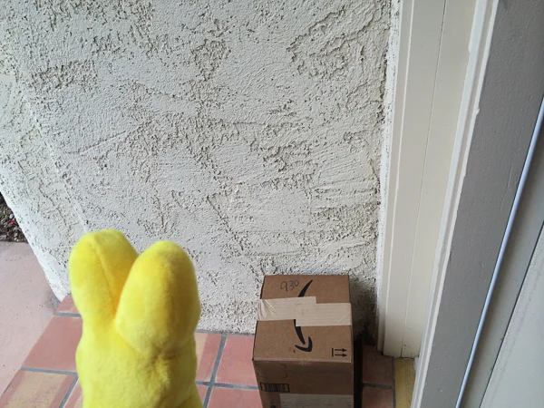 sumi bear gets a flight stick-6