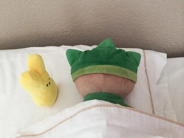 sumi bear gets a flight stick-8