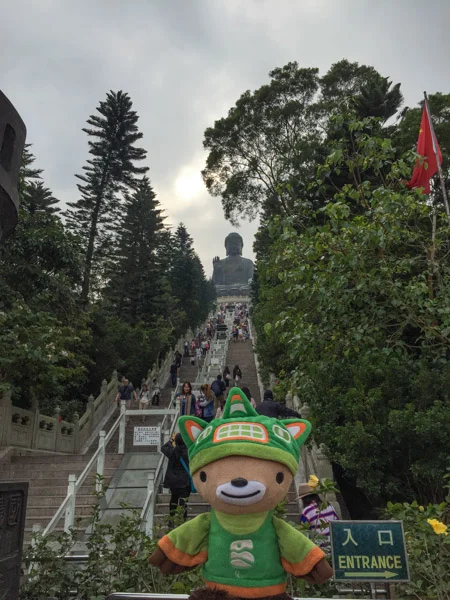 sumi bear playing hong kong tourist-101