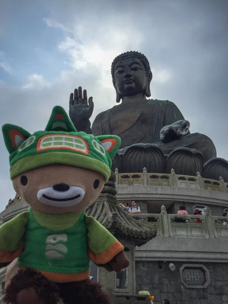 sumi bear playing hong kong tourist-102