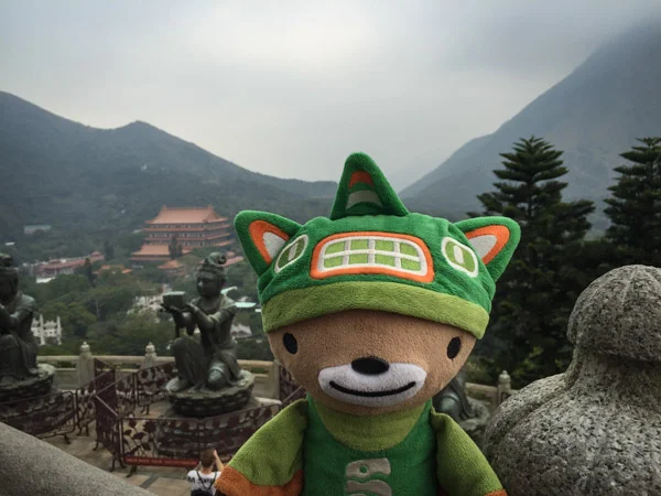 sumi bear playing hong kong tourist-103