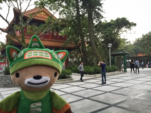 sumi bear playing hong kong tourist-111