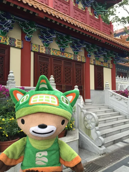 sumi bear playing hong kong tourist-18