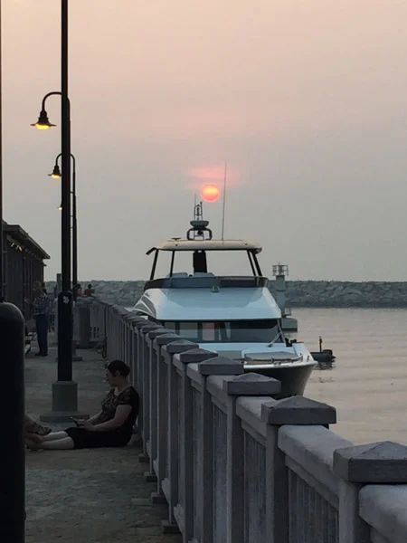 sumi bear playing hong kong tourist-26